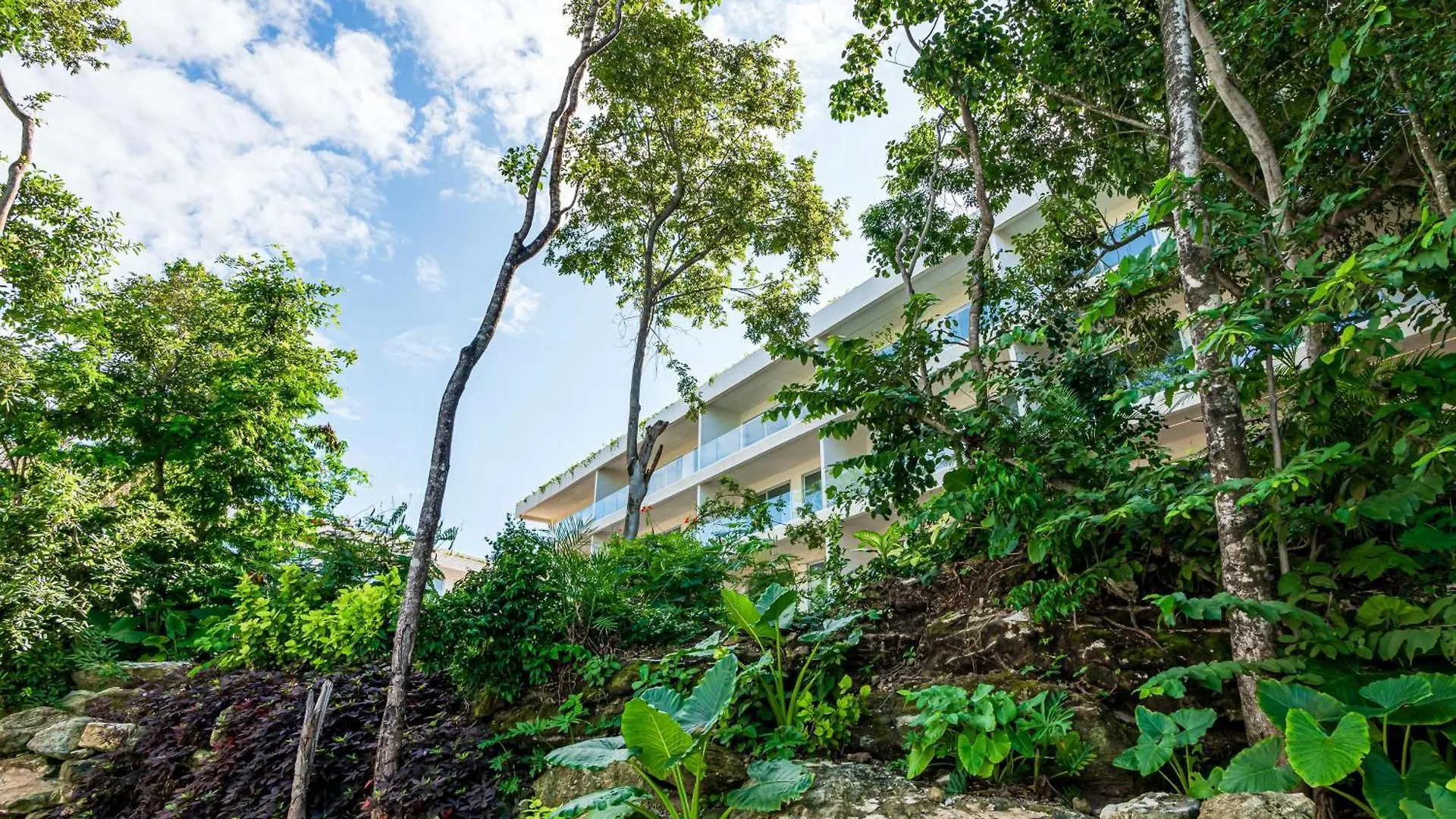 Natura One Bedroom Condo At Tl A203 Playa del Carmen 0*,